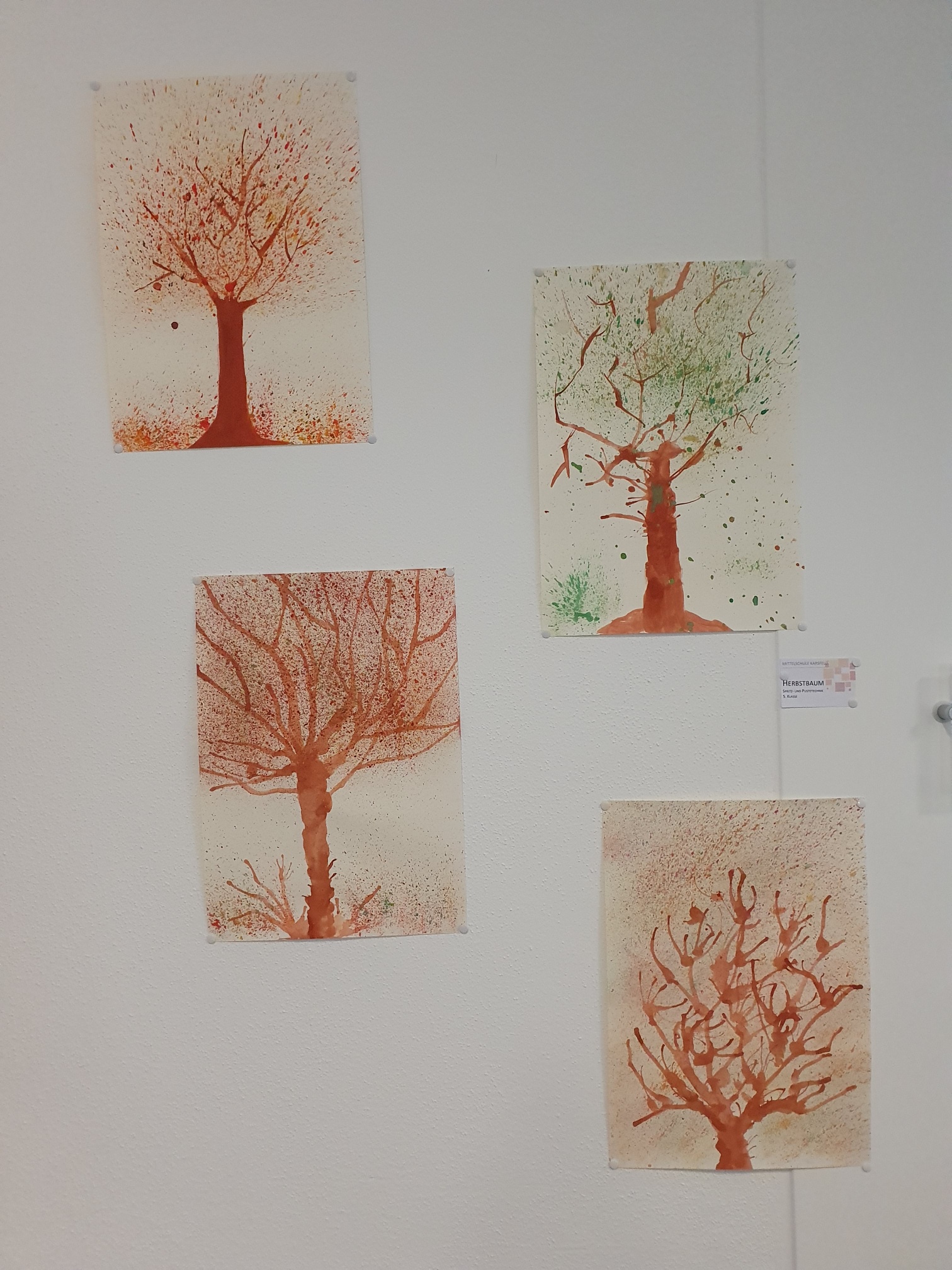 Herbstbaum.jpg